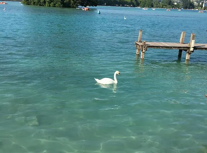 The Boat